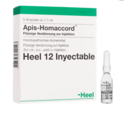 Apis Homaccord (1.1. ML...