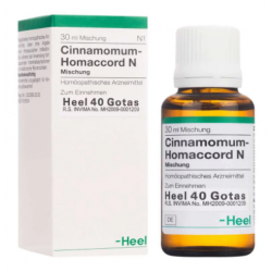 Cinnamomum (Homarccord...