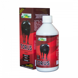 TORUS ( MULTIVITAMINICO,...