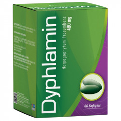 DYPHLAMIN 480GR (garra del...