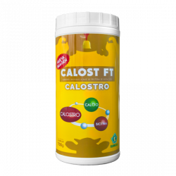 CALOST FT (FACTOR...