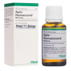 Apis Homaccord...